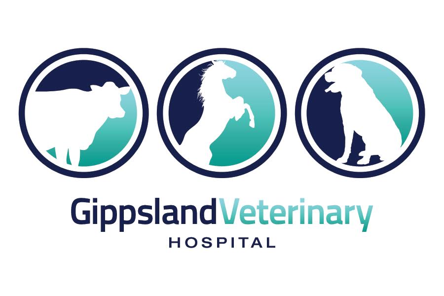 Sale Veterinary Centre | veterinary care | 262 York St, Sale VIC 3850, Australia | 0351443100 OR +61 3 5144 3100