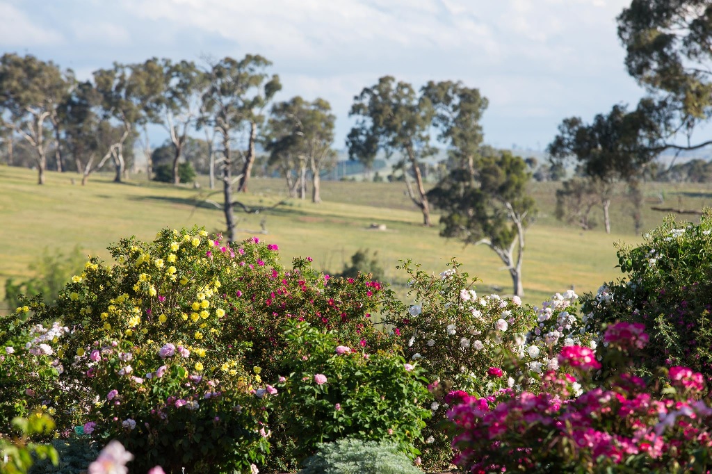 Saumarez Homestead - Armidale | 230 Saumarez Rd, Armidale NSW 2350, Australia | Phone: (02) 6772 3616