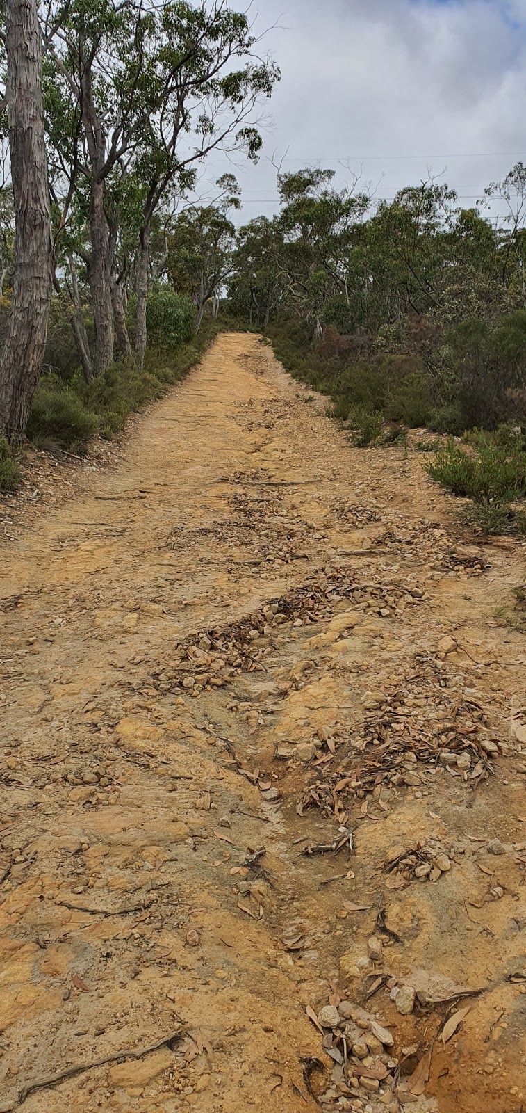 Bwb sweat hill -Adventure Hike | park | Chinamans Hut Track, Cleland SA 5152, Australia
