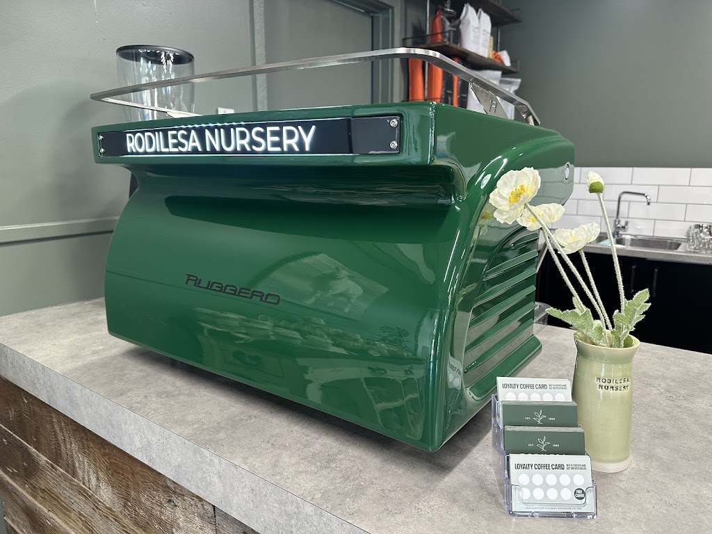 Rodilesa Nursery Rochester | 6525 Northern Hwy, Rochester VIC 3561, Australia | Phone: (03) 4320 0802