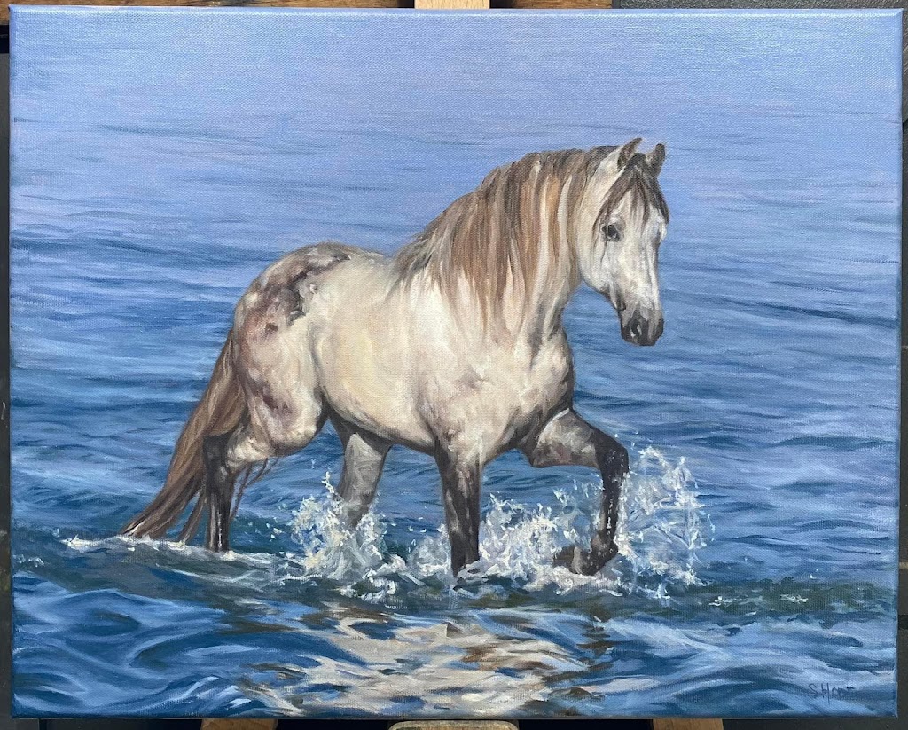 Sue Hope Art | 73 Edgar St, Heywood VIC 3304, Australia | Phone: 0400 438 337