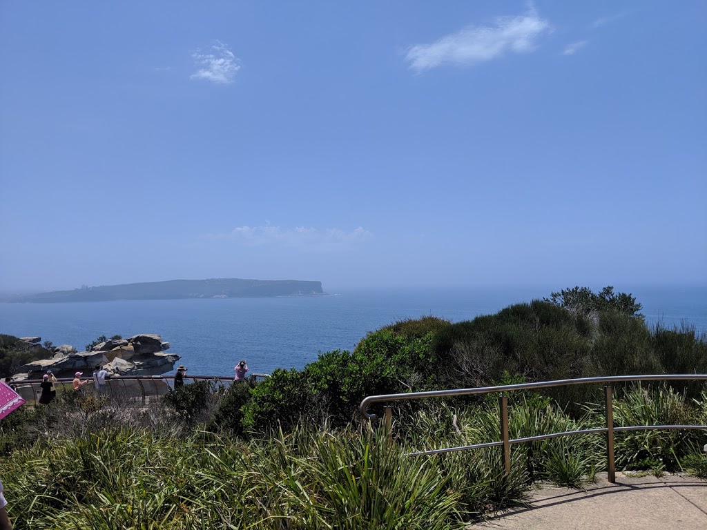 Don Ritchie Grove | 264 Old South Head Rd, Vaucluse NSW 2030, Australia