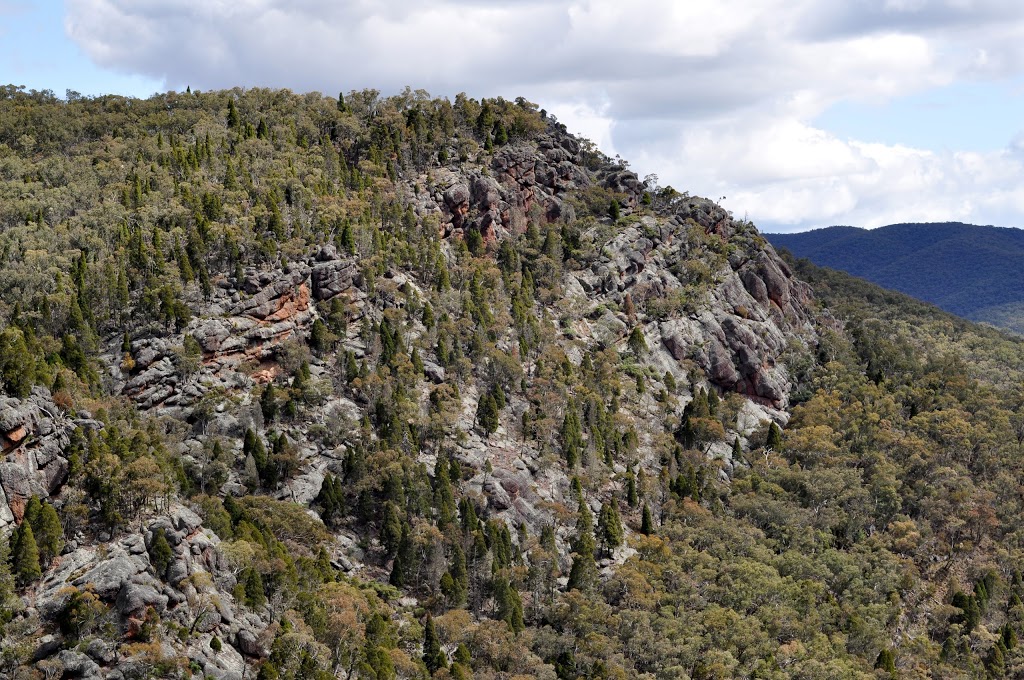 Winburndale Nature Reserve | Winburndale NSW 2795, Australia