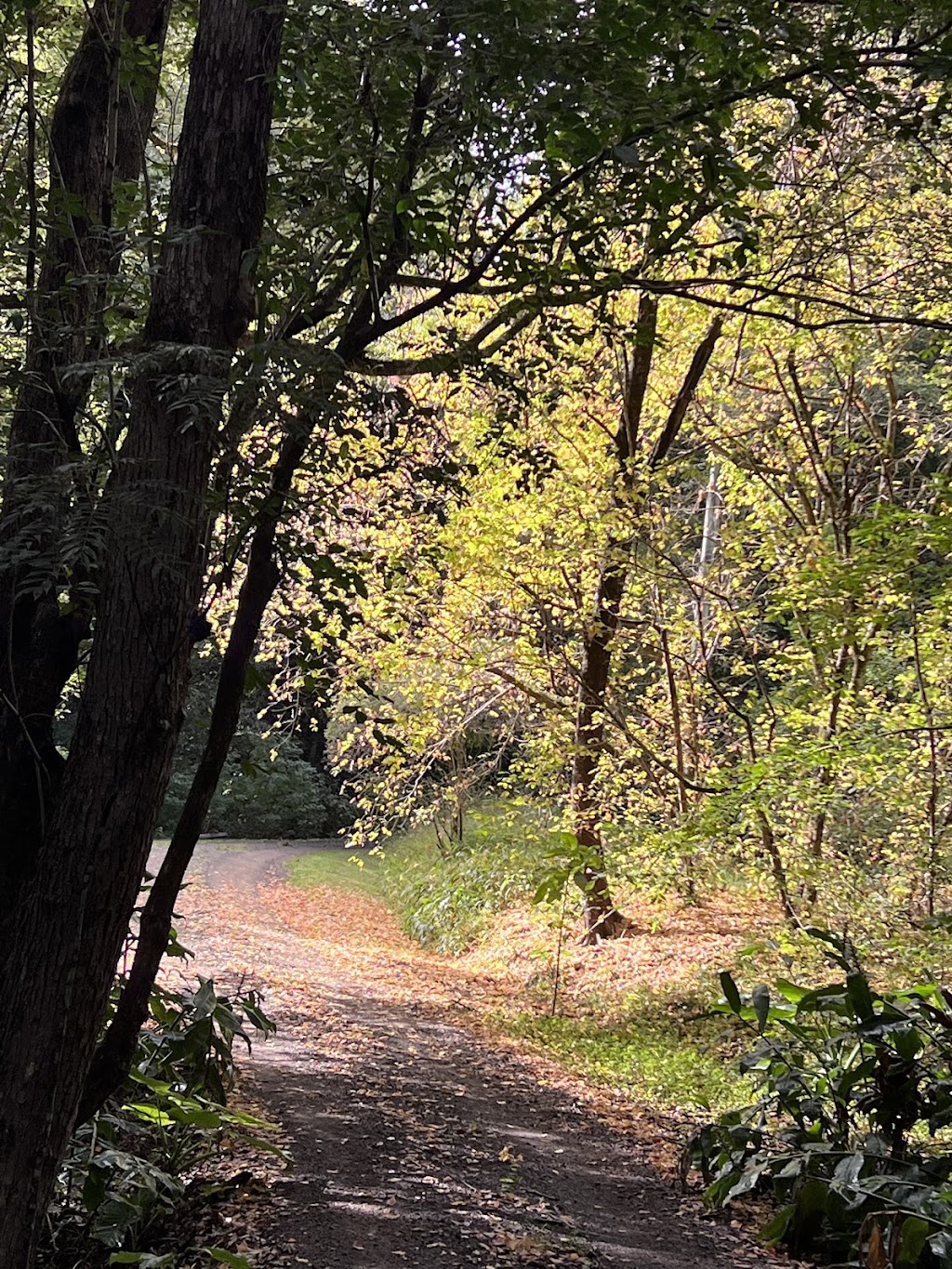 Whistling Hill | 1/10 Robb Rd, Lillian Rock NSW 2480, Australia | Phone: 0419 437 044