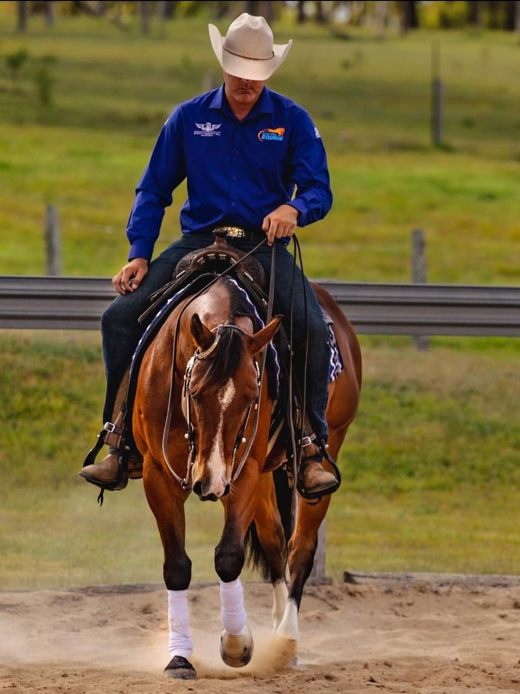 FHT Equine | 26 McNairn Rd, Crows Nest QLD 4355, Australia | Phone: 0402 581 423