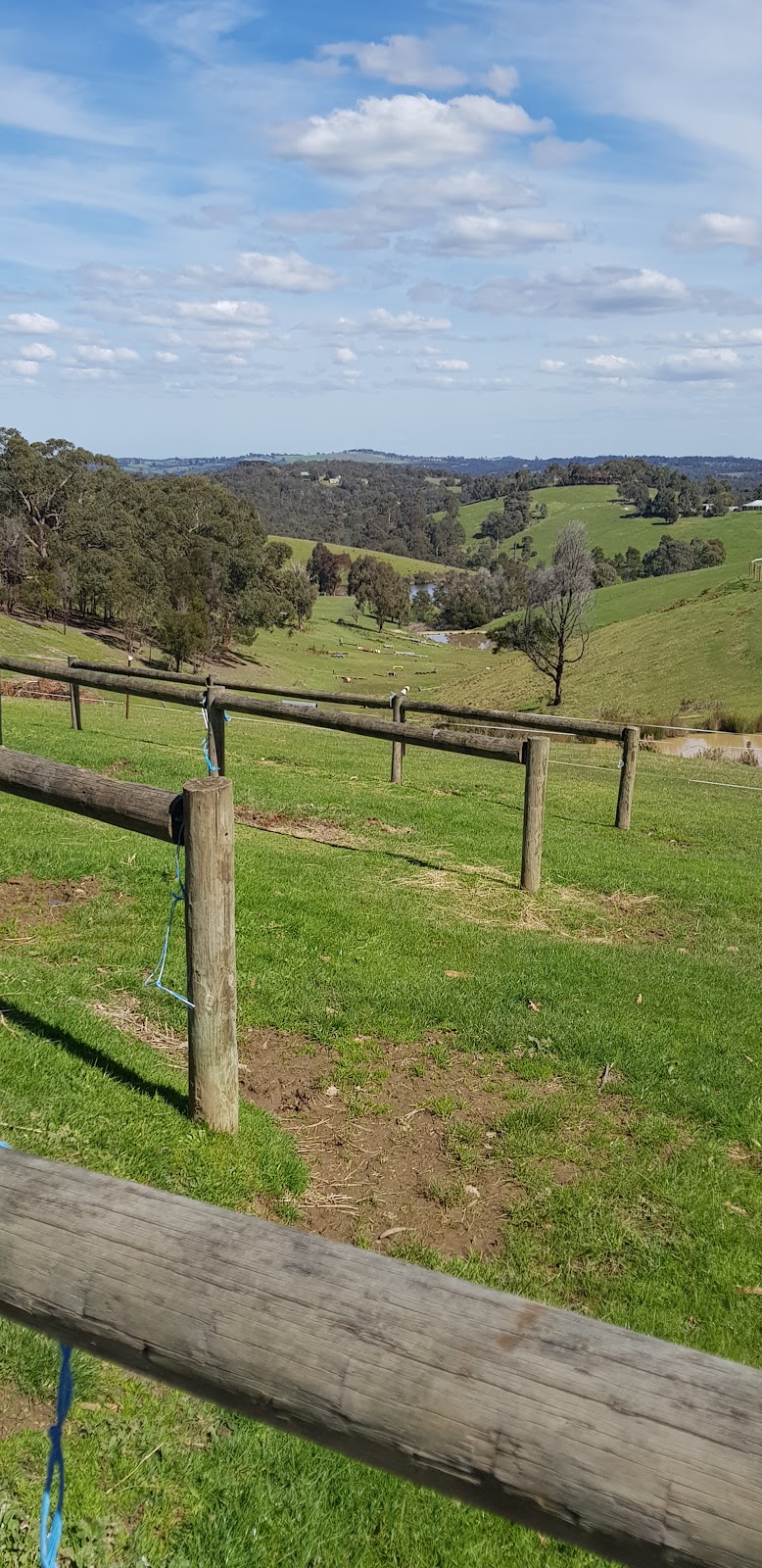 St Andrews Pony Club | Clintons Rd, Smiths Gully VIC 3760, Australia | Phone: 0420 757 249