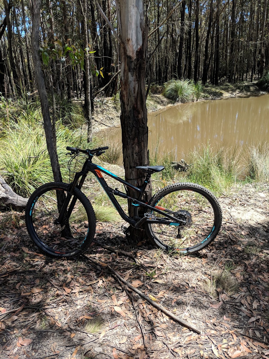 Wombat Track MTB Trail Head | parking | Boundary Rd, Woodend VIC 3442, Australia