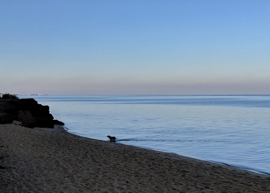 Sandringham Lifesaving Club | Beach Rd, Sandringham VIC 3191, Australia | Phone: (03) 9598 2340