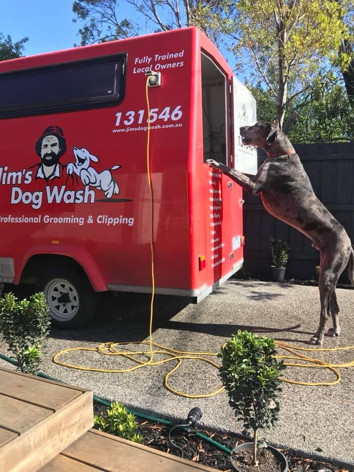 Jims Dog Wash Glenfield Park | 11 Menzies Ave, Kooringal NSW 2650, Australia | Phone: 0483 092 411