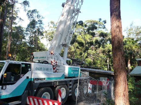 John Henry Tree Services | 15 Kookie Ave, Pacific Palms NSW 2428, Australia | Phone: 0428 960 259