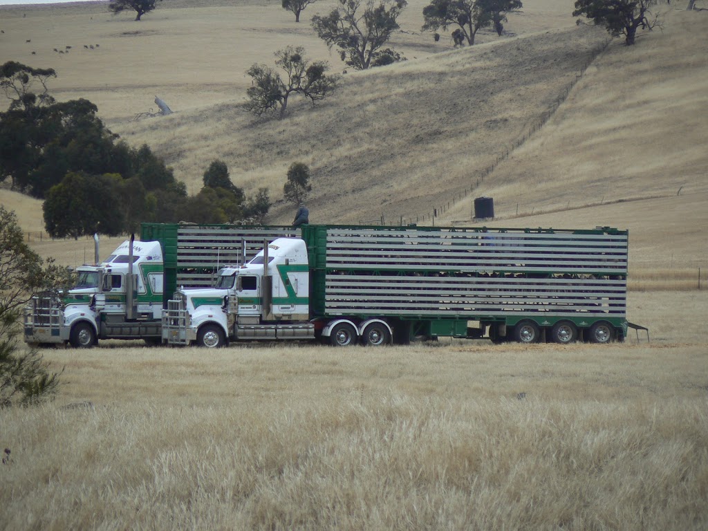 Monta Flora | 931 Salter Springs Rd, Salter Springs SA 5401, Australia | Phone: 0428 286 097