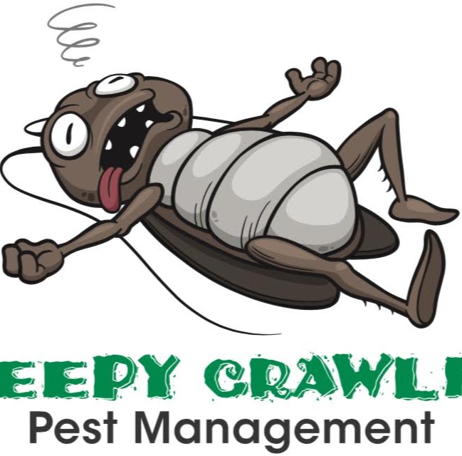 Creepy Crawling Pest Management | 6 Redesdale St, Mallabula NSW 2319, Australia | Phone: 0434 407 864