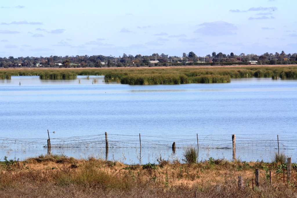 Fivebough and Tuckerbil Wetlands | park | Leeton NSW 2705, Australia | 0269601343 OR +61 2 6960 1343