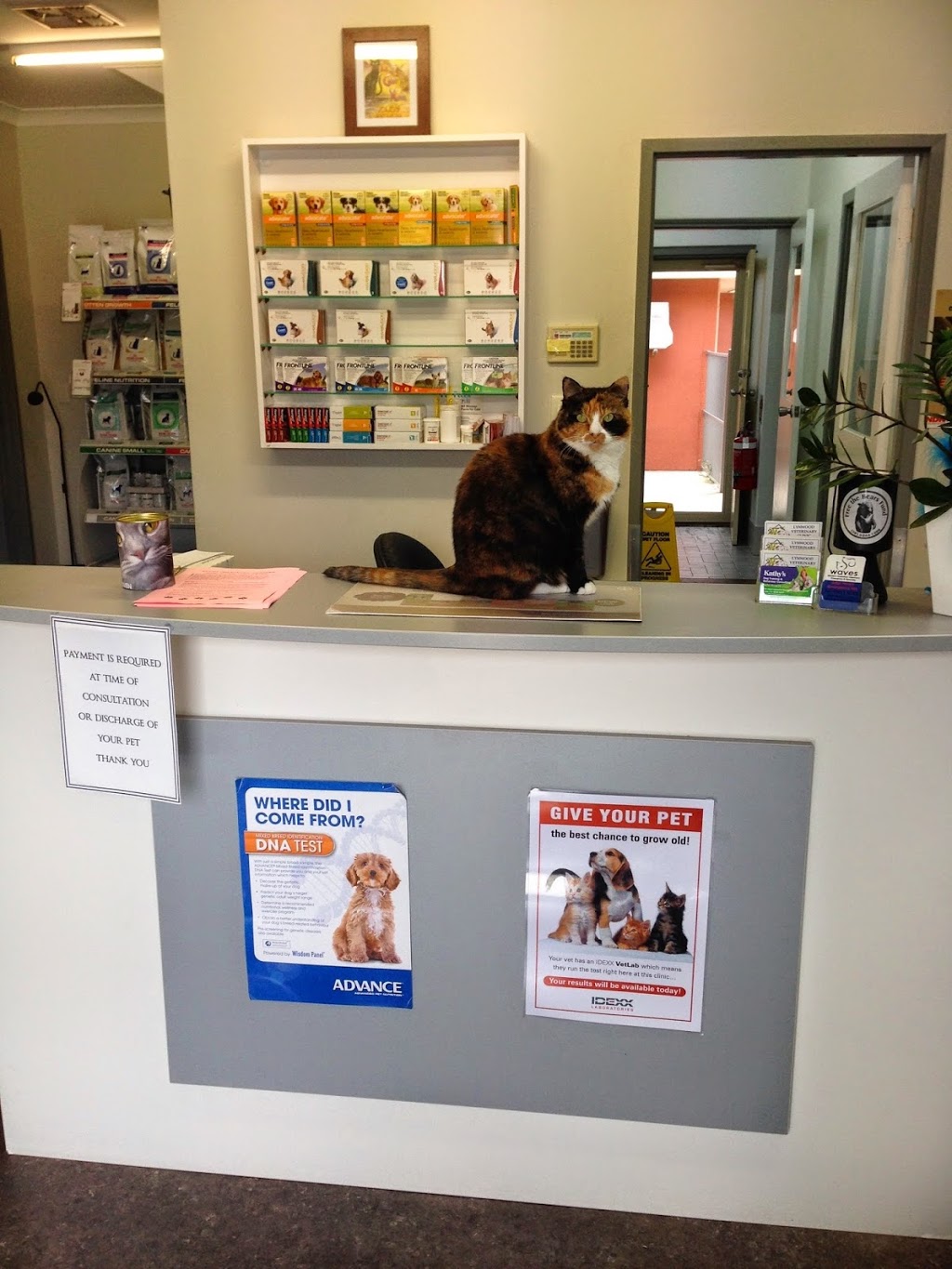Lynwood Veterinary Clinic | veterinary care | 568 Metcalfe Rd, Ferndale WA 6148, Australia | 0894513575 OR +61 8 9451 3575