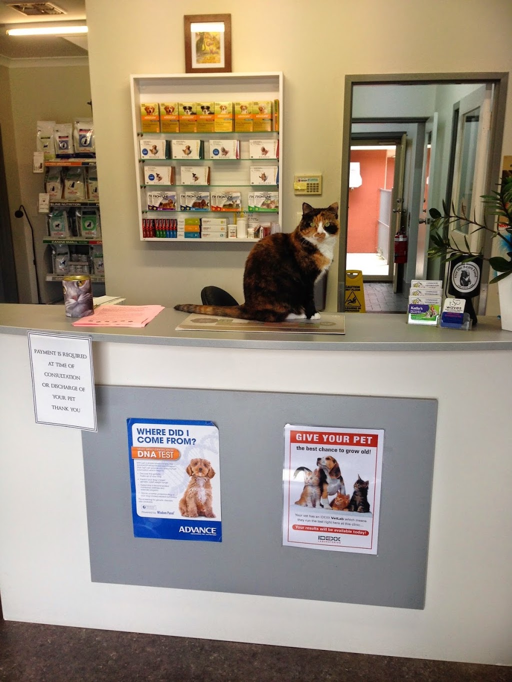 Lynwood Veterinary Clinic | 568 Metcalfe Rd, Ferndale WA 6148, Australia | Phone: (08) 9451 3575