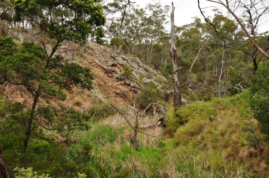 Long Forest Flora & Fauna Reserve | park | Long Forest Rd, Merrimu VIC 3340, Australia | 131963 OR +61 131963