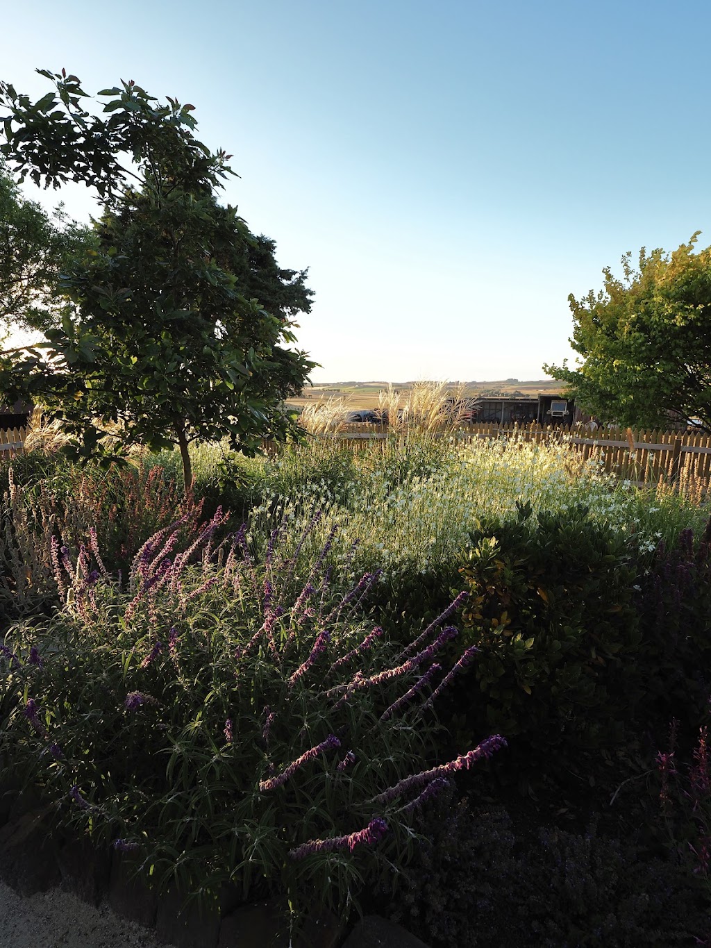 Panamona Landscape Design | 54 Squeaking Point Rd, Thirlstane TAS 7307, Australia | Phone: 0499 528 795