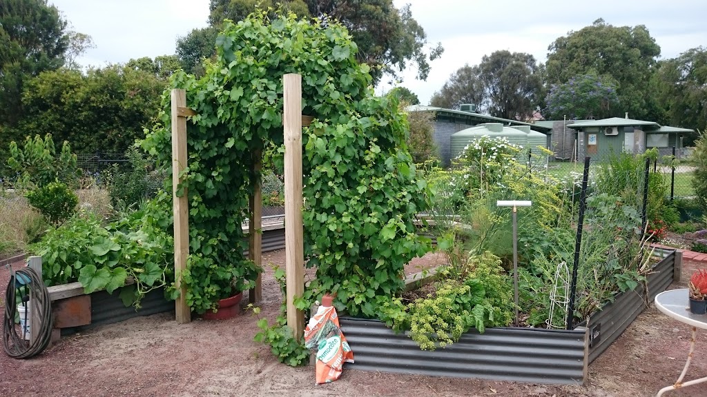 Joy of the Earth Community Garden | park | Joy St, Frankston VIC 3199, Australia | 0397835229 OR +61 3 9783 5229