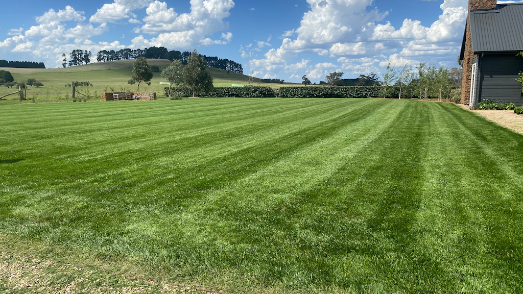 Southern Highlands Lawn Services | 15 Robinia Dr, Bowral NSW 2576, Australia | Phone: 0426 284 871