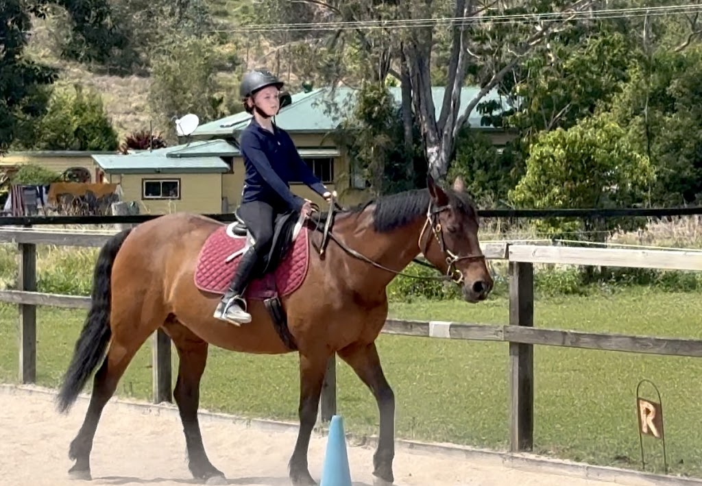 AK Equine | 310 Left Bank Rd, Mullumbimby NSW 2482, Australia | Phone: 0413 959 708
