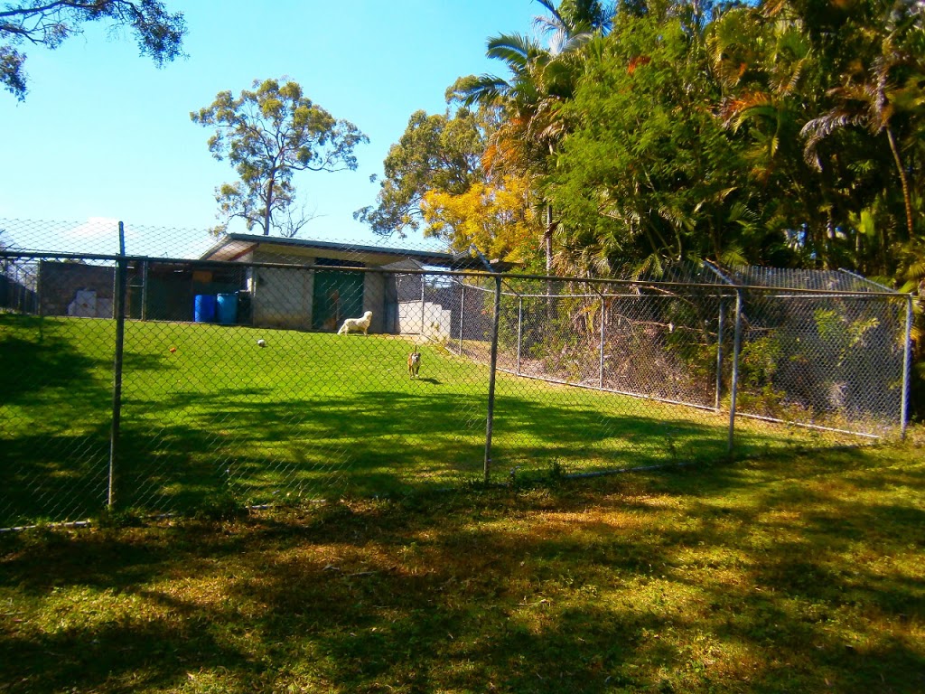 Chandler Boarding Kennels | 81 Eastwood St, Chandler QLD 4155, Australia | Phone: (07) 3390 2997