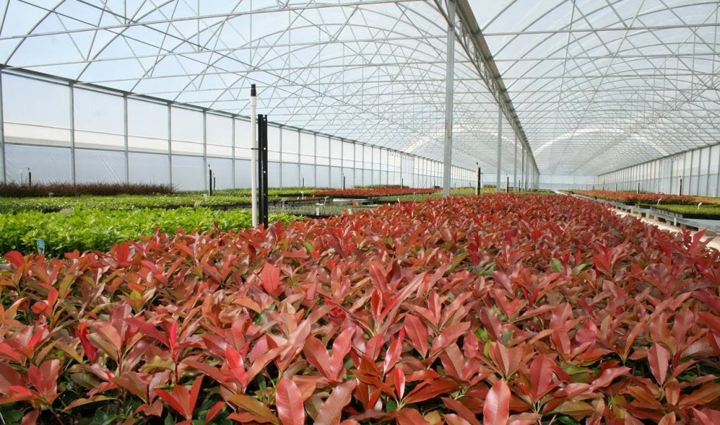 Mansfield Propagation Nursery | 150 Taylors Rd, Skye VIC 3977, Australia | Phone: (03) 9782 2404