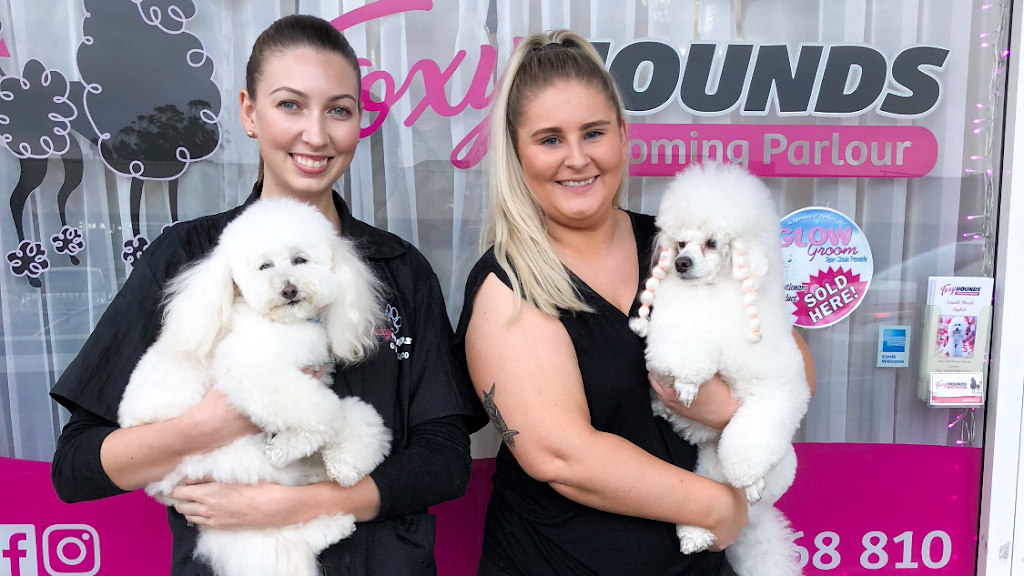 Foxy Hounds Dog Grooming Parlour | pet store | 3/265 Princes Hwy, Corrimal NSW 2518, Australia | 0432568810 OR +61 432 568 810