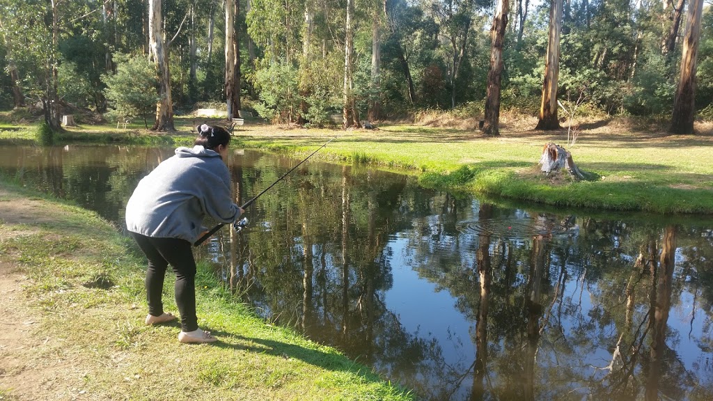 Buxton Trout & Salmon Farm | park | 2118 Maroondah Hwy, Buxton VIC 3711, Australia | 0357747370 OR +61 3 5774 7370