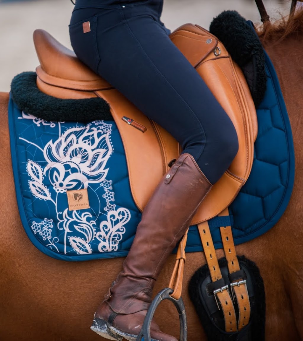 LL Equestrian | Bowers Rd, Hatton Vale QLD 4341, Australia | Phone: 0411 015 322