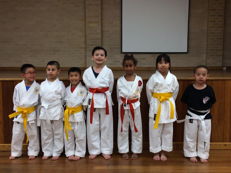 Australias Youth Self Defence Karate | 199 The Trongate, South Granville NSW 2142, Australia | Phone: (02) 9904 5667
