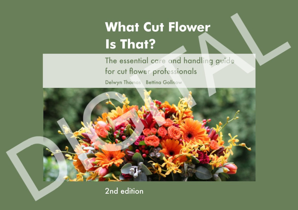 What Cut Flower is That? | 48 Nabiac St, Nabiac NSW 2312, Australia | Phone: 0414 678 840