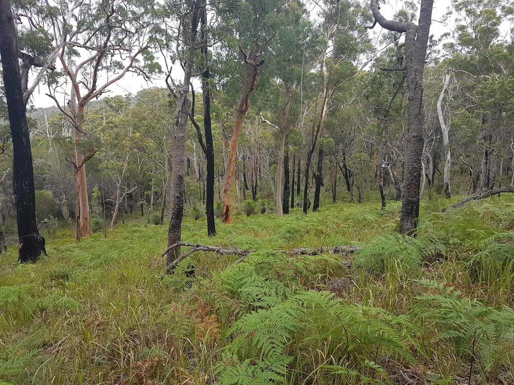 Blue Lake National Park | North Stradbroke Island QLD 4183, Australia | Phone: 13 74 68