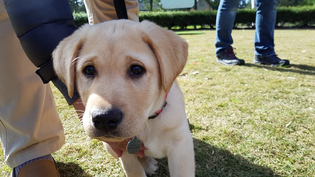 Guide Dogs Centre - Glossodia | 1 Spinks Rd, Glossodia NSW 2756, Australia | Phone: (02) 4579 7555