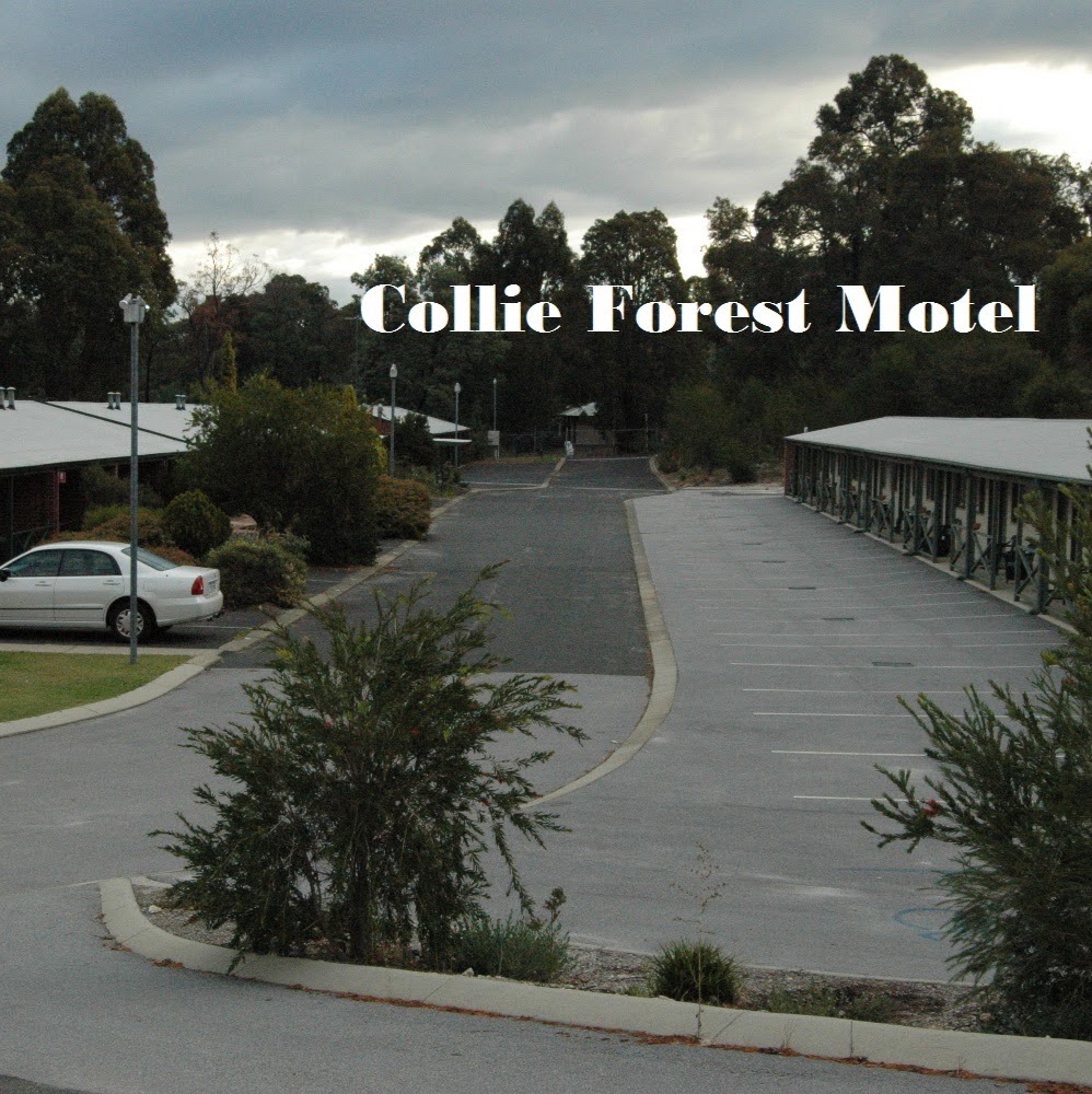 Collie Forest Motel | lodging | 67 Atkinson St S, Collie WA 6225, Australia | 0897341166 OR +61 8 9734 1166