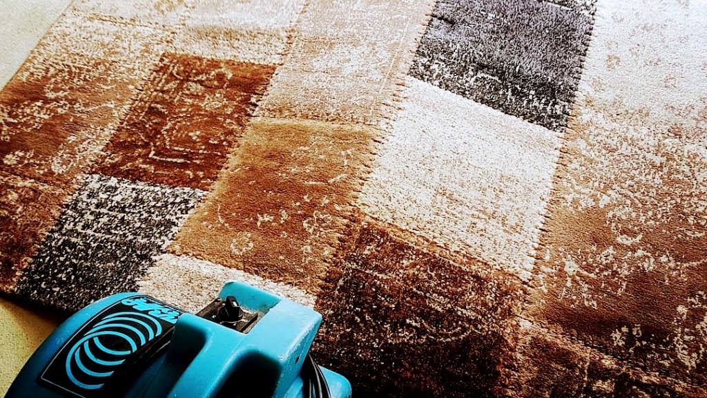 aba Carpet and Upholstery Cleaning | Newport NSW 2106, Australia | Phone: 0418 760 556