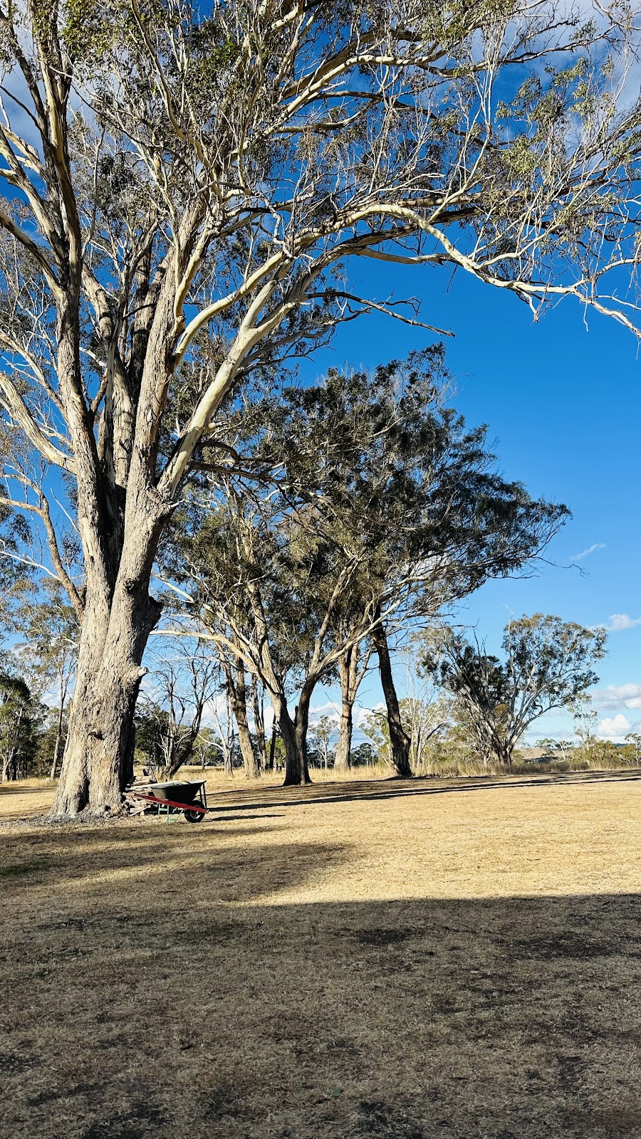 Up The Top | 8447 New England Hwy, Glencoe NSW 2365, Australia | Phone: 0419 170 581