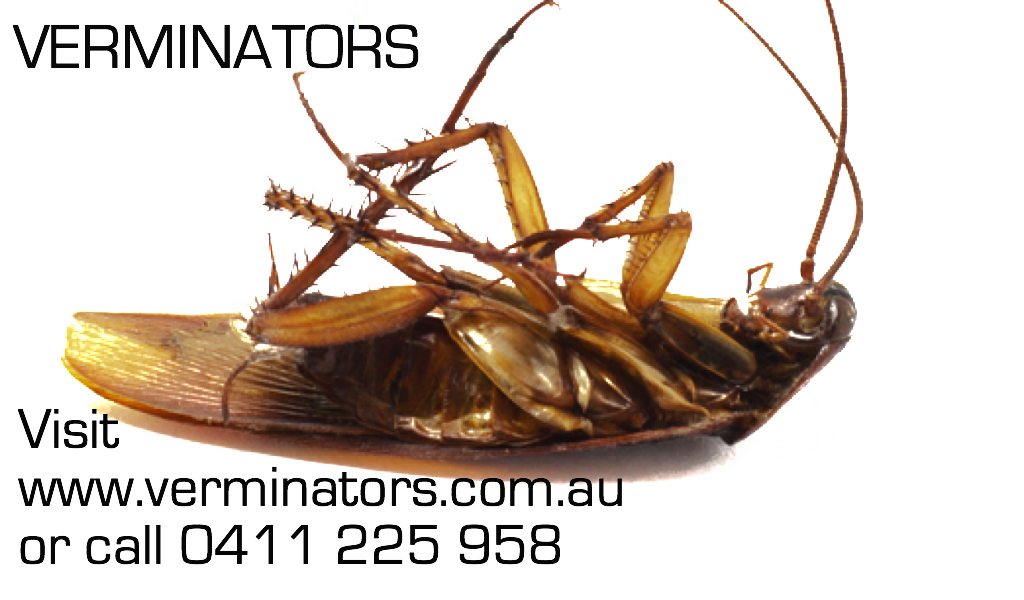 Verminators Pest Control Services | 332 Donnybrook Rd, Donnybrook QLD 4510, Australia | Phone: 0411 225 958