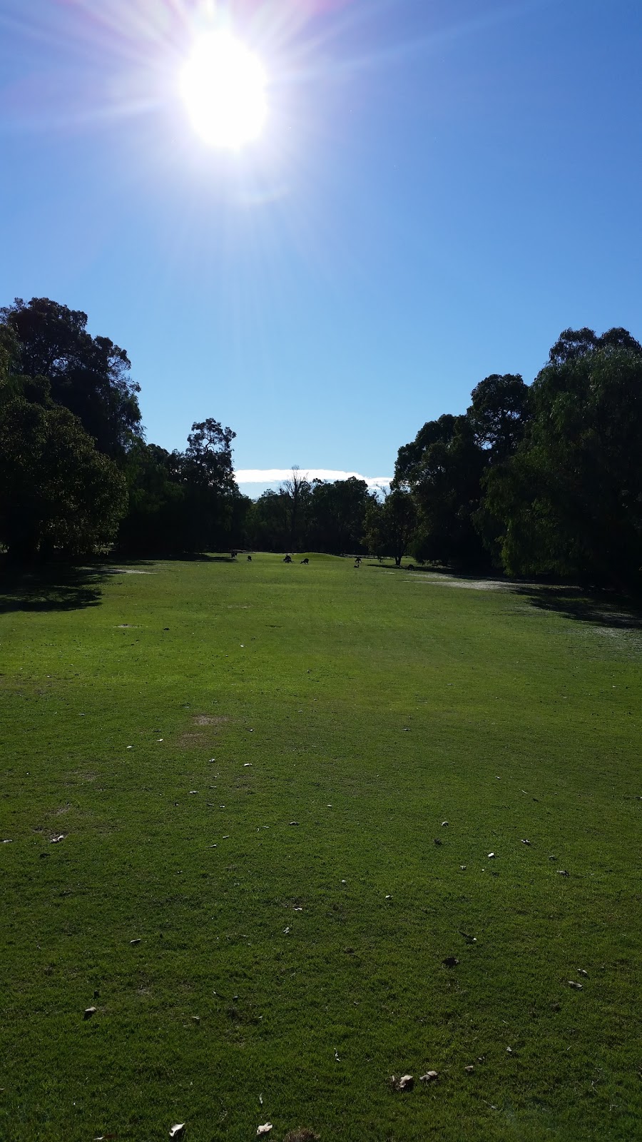 West Busselton 3 Par Golf Course | West Busselton WA 6280, Australia