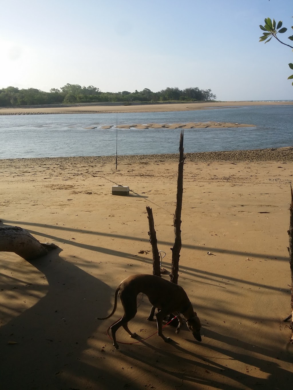 Saunders Beach Park Rest Area | Reef St, Saunders Beach QLD 4818, Australia