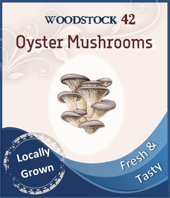 Woodstock 42 Oyster Mushrooms | food | 8 Centenary Pl, Logan Village QLD 4207, Australia | 0413120771 OR +61 413 120 771