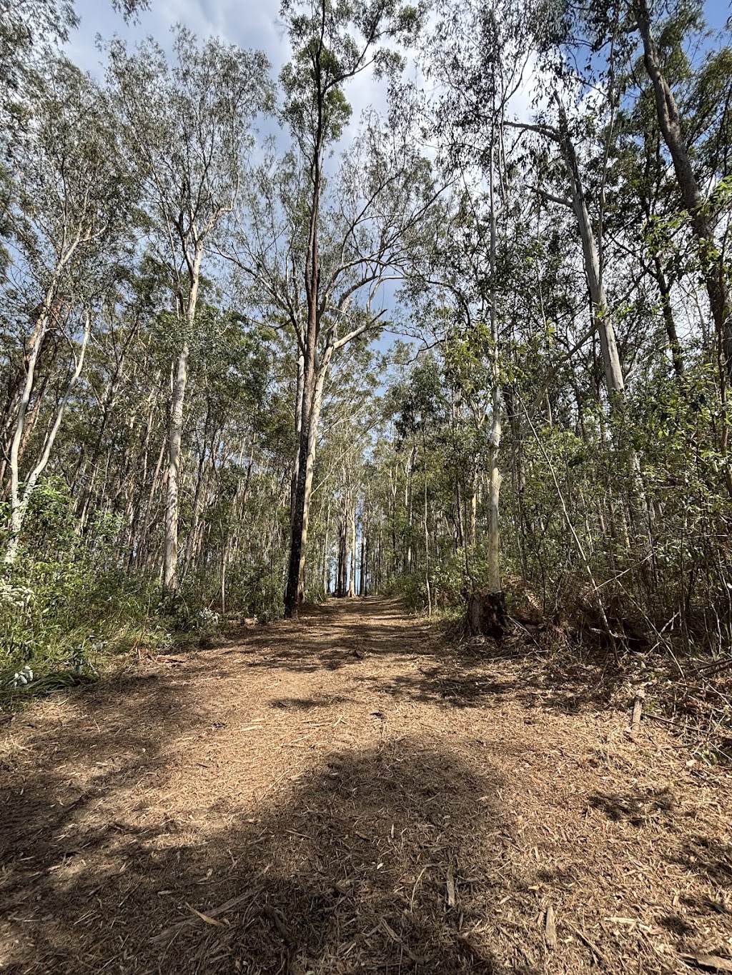 Protrax Vegetation Management | Twin View Rd, Elimbah QLD 4516, Australia | Phone: 0405 816 527
