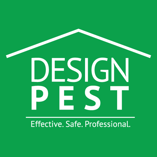 Design Pest Pty Ltd | home goods store | 5/93-99 S Creek Rd, Cromer NSW 2099, Australia | 0284040619 OR +61 2 8404 0619