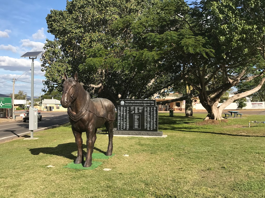 Collinsville Pit Pony Experience | 34 Sonoma St, Collinsville QLD 4804, Australia | Phone: 0427 573 991