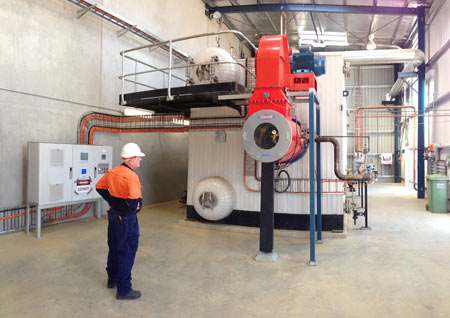 Tru-Steam Boilers & Service Riverina | 67 Spence Rd, Griffith NSW 2680, Australia | Phone: (02) 9754 2166