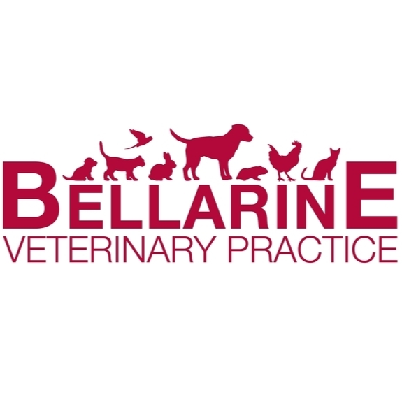 Bellarine Veterinary Practice | 103 Bellarine Hwy, Point Lonsdale VIC 3225, Australia | Phone: (03) 5258 4862