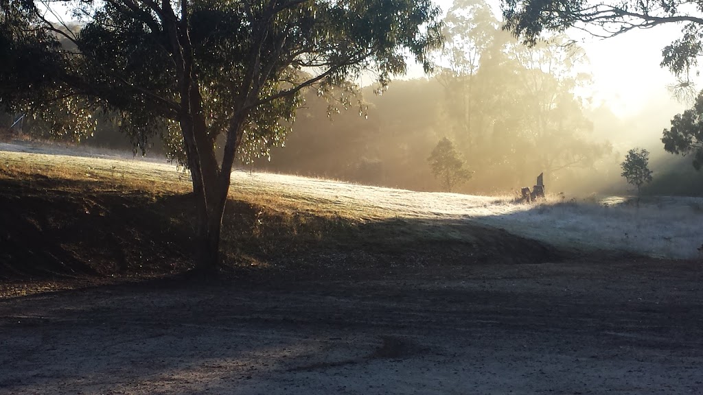 Starglen Lodge | lodging | 211 Star of the Glen Rd, Bonnie Doon VIC 3720, Australia | 0458560320 OR +61 458 560 320