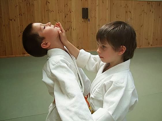 Melbourne Yoshinkan Aikido | 146 Dawson St, Brunswick West VIC 3055, Australia | Phone: (03) 9381 2888