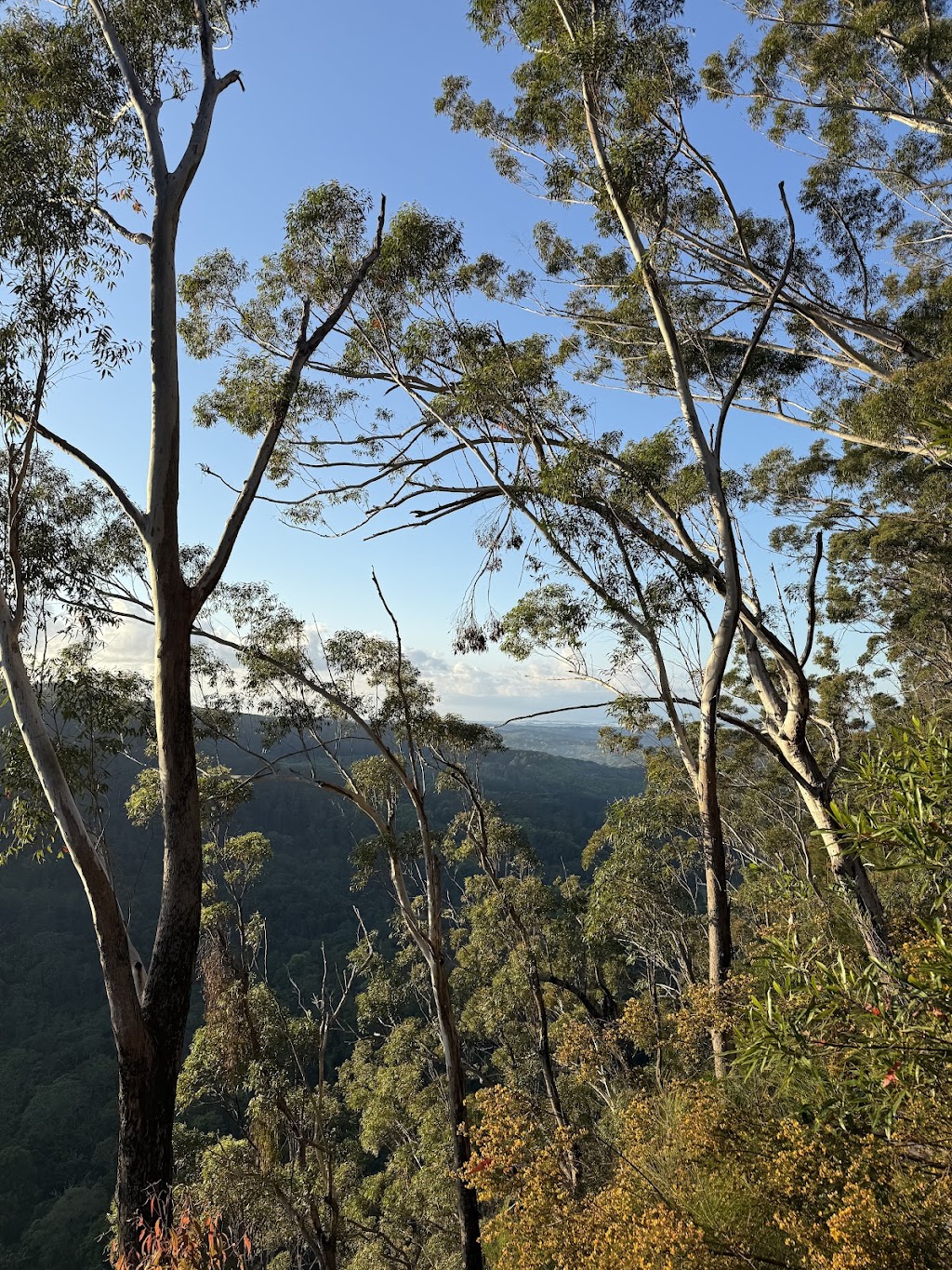 Gidjuum Gulganyi Walk | Unicorn Falls Walking Trak, Upper Main Arm NSW 2482, Australia | Phone: 1300 072 757