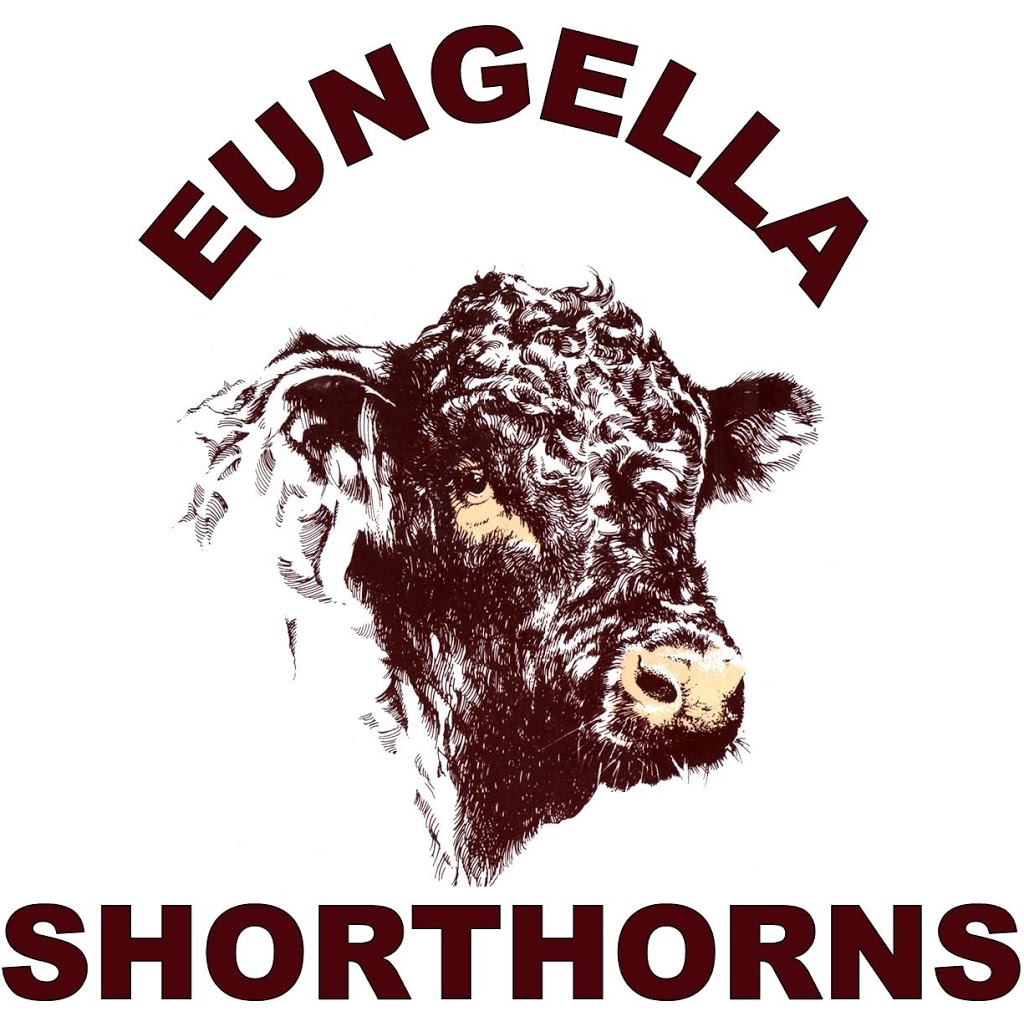 Eungella Shorthorns | food | 1794 Deer Vale Rd, Deer Vale NSW 2453, Australia | 0266573323 OR +61 2 6657 3323