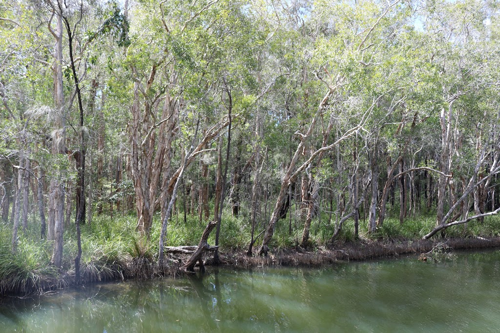 Cooloothin Conservation Park | park | 1406 McKinnon Dr, Cootharaba QLD 4565, Australia